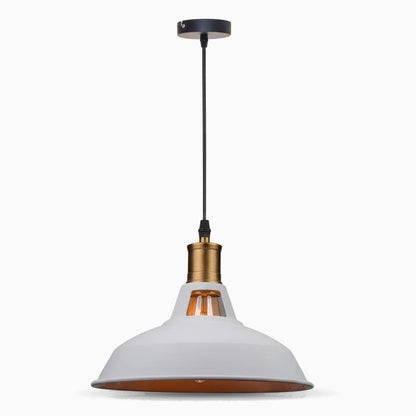 Détail de la structure métallique épurée et du câble ajustable de la lampe suspendue industrielle