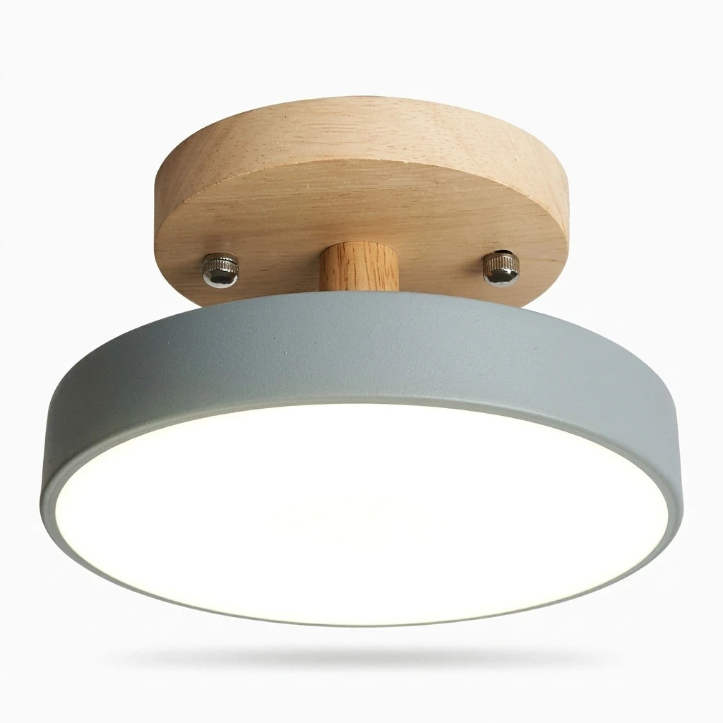 Luminaire plafond entrée forme épurée, éclairage blanc chaud ou changeant multicolore